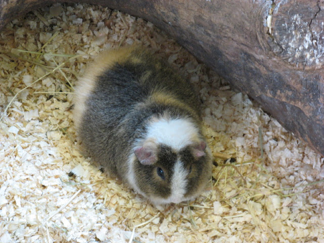 Paradise Park 20.04.2009