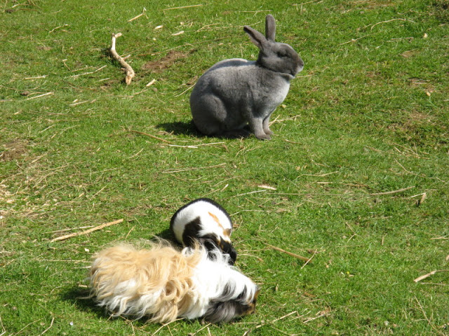 Paradise Park 20.04.2009