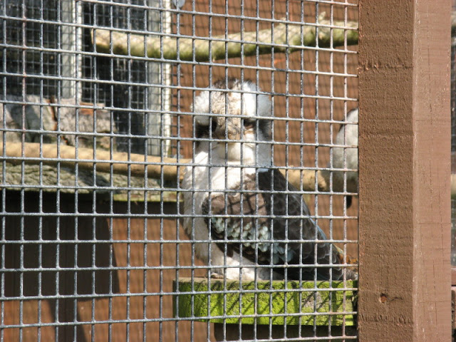 Paradise Park 20.04.2009