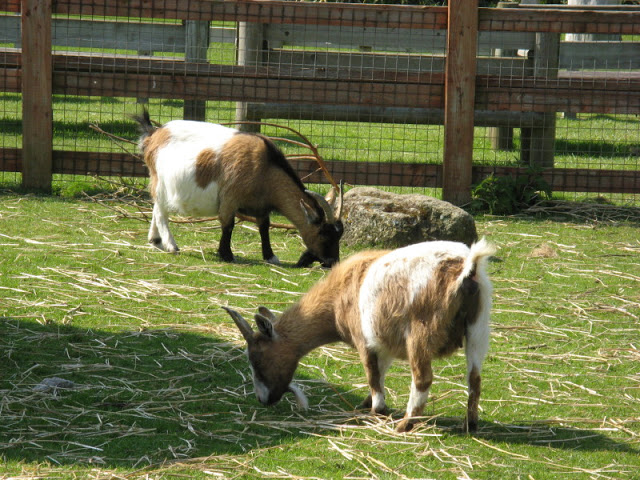 Paradise Park 20.04.2009