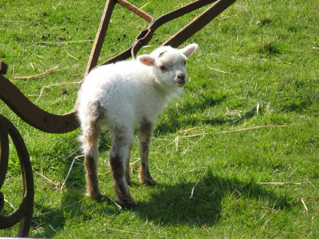 Paradise Park 20.04.2009