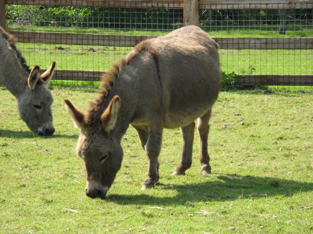 Paradise Park 20.04.2009