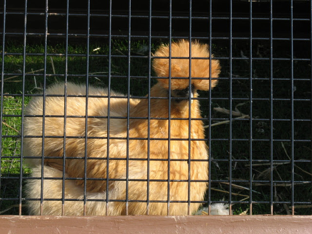 Paradise Park 20.04.2009