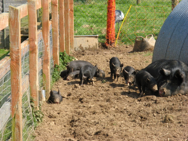 Paradise Park 20.04.2009