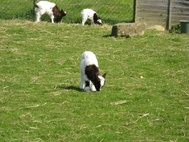 Paradise Park 20.04.2009