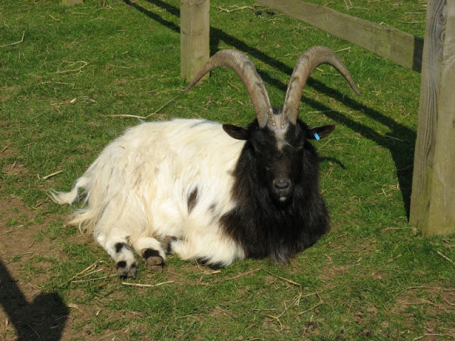 Paradise Park 20.04.2009