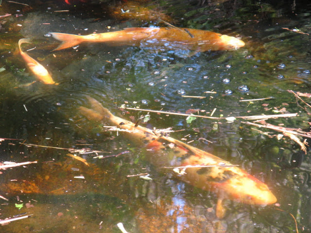 Paradise Park 20.04.2009