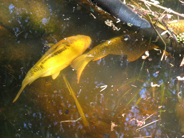 Paradise Park 20.04.2009