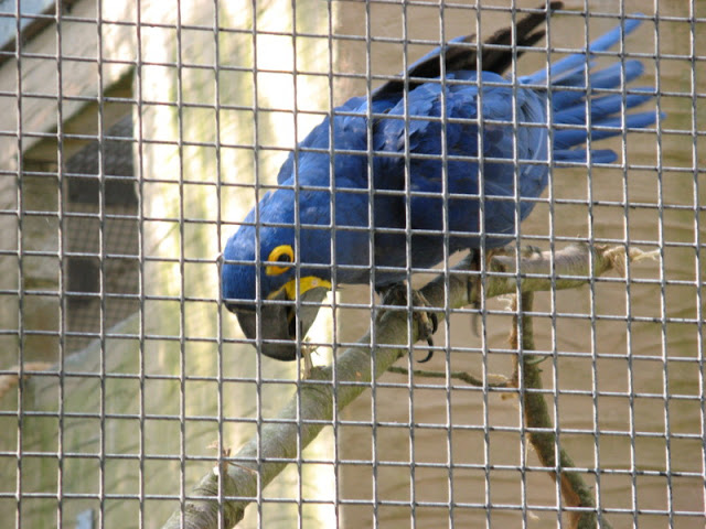 Paradise Park 20.04.2009