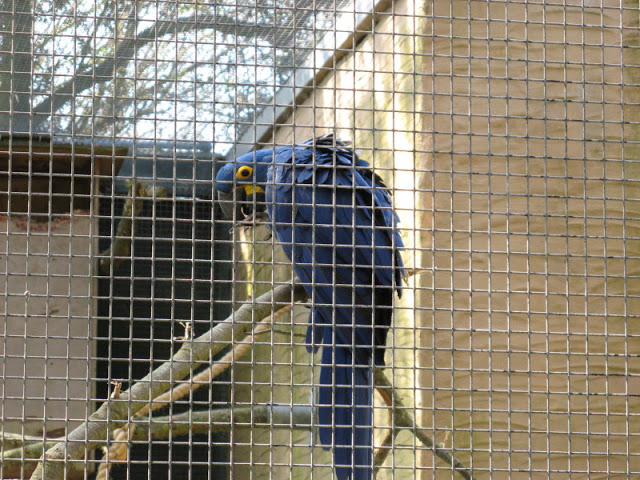 Paradise Park 20.04.2009