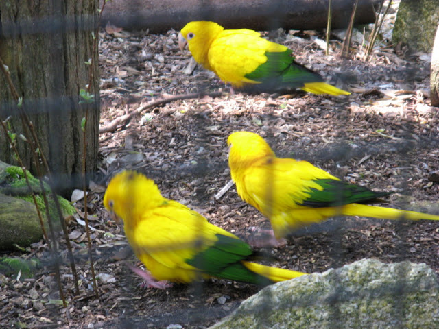 Paradise Park 20.04.2009