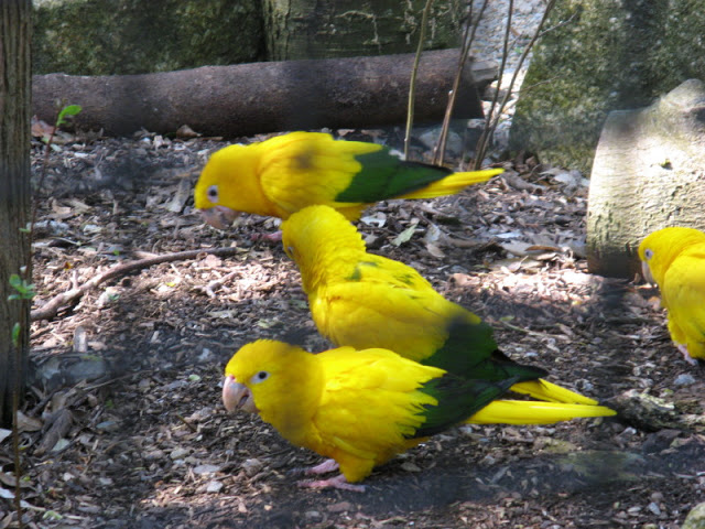 Paradise Park 20.04.2009