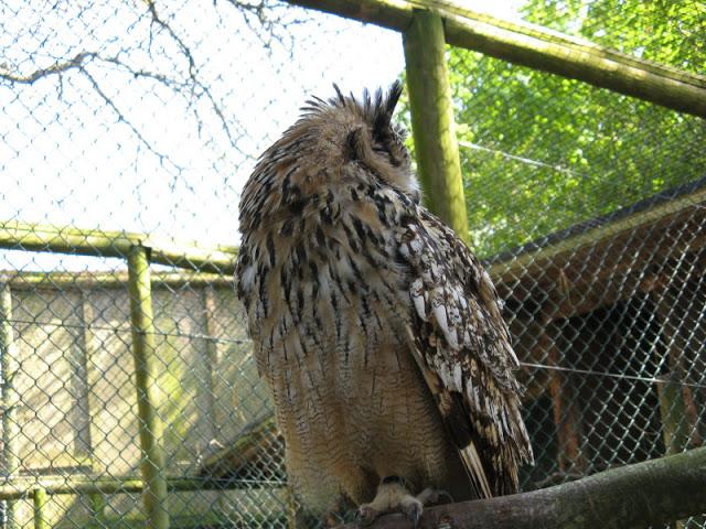 Paradise Park 20.04.2009