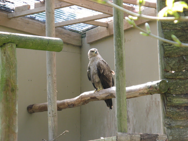 Paradise Park 20.04.2009