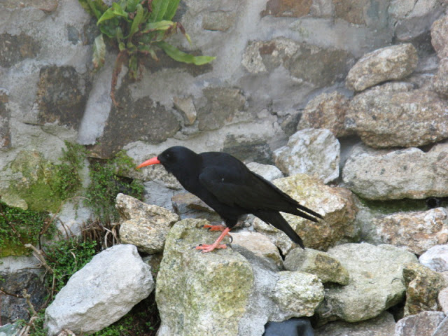 Paradise Park 20.04.2009