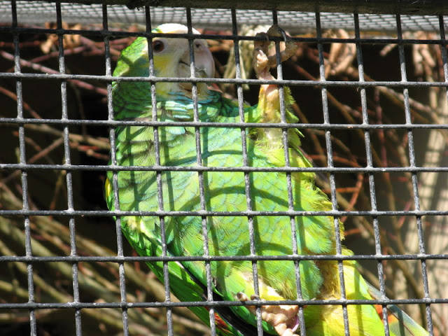 Paradise Park 20.04.2009