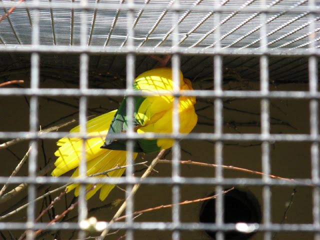 Paradise Park 20.04.2009