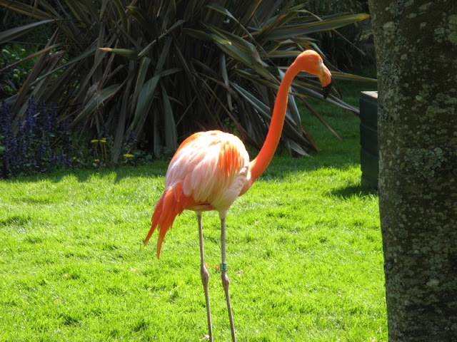 Paradise Park 20.04.2009