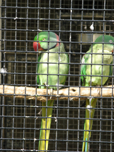 Paradise Park 20.04.2009