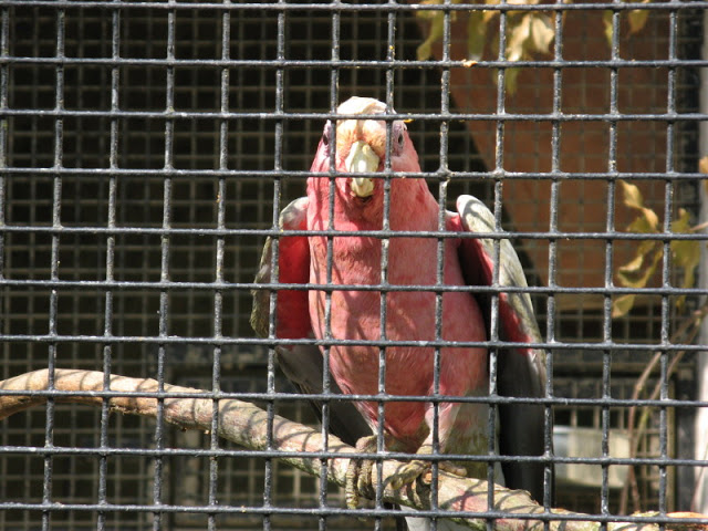 Paradise Park 20.04.2009