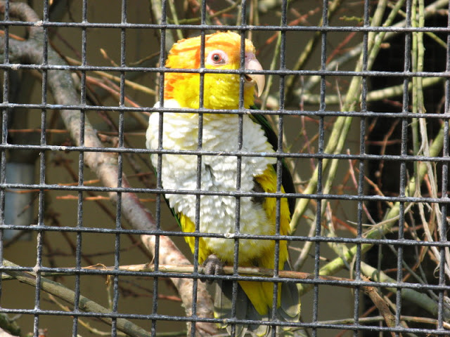 Paradise Park 20.04.2009