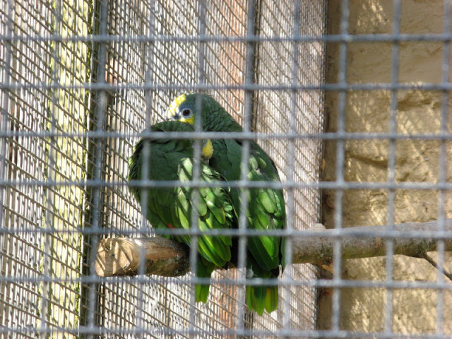 Paradise Park 20.04.2009