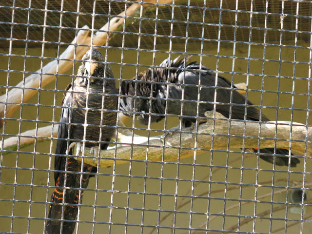 Paradise Park 20.04.2009