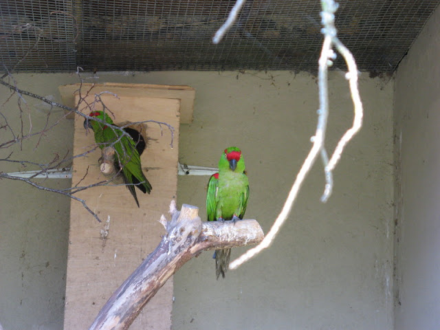 Paradise Park 20.04.2009