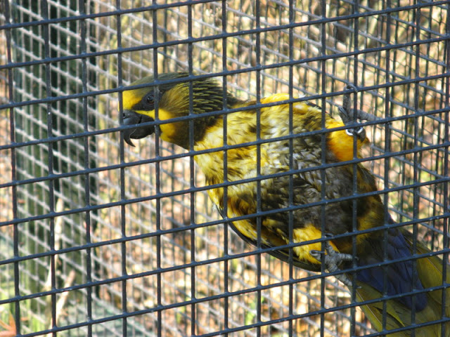 Paradise Park 20.04.2009