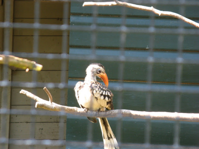 Paradise Park 20.04.2009