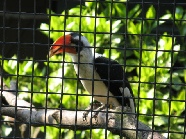 Paradise Park 20.04.2009