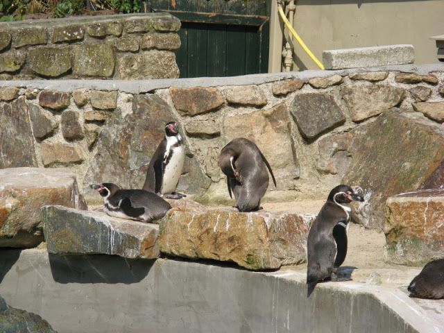 Paradise Park 20.04.2009