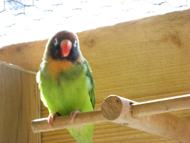 Paradise Park 20.04.2009