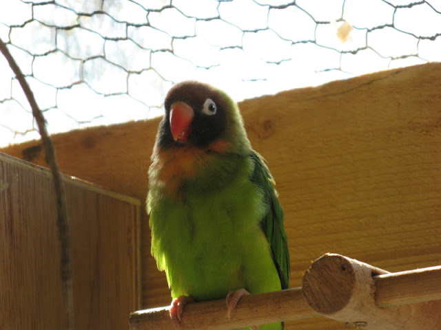 Paradise Park 20.04.2009