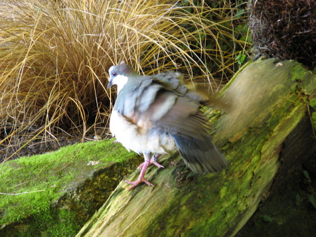 Paradise Park 20.04.2009