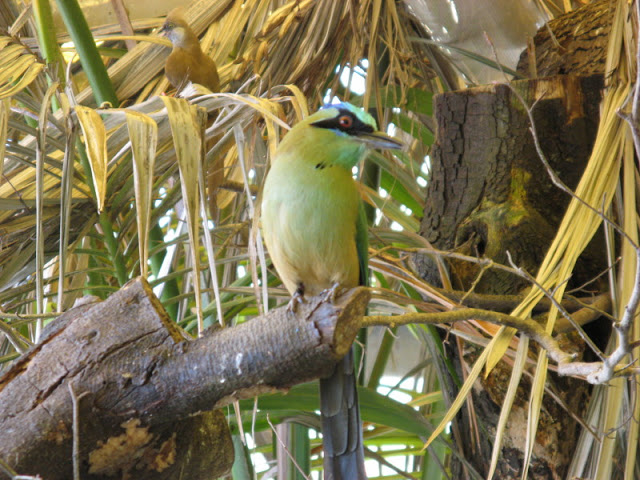 Paradise Park 20.04.2009