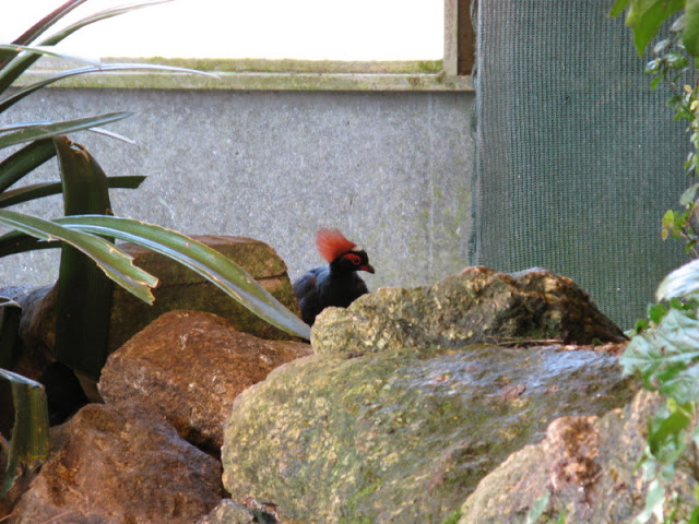 Paradise Park 20.04.2009