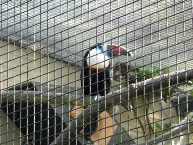 Paradise Park 20.04.2009