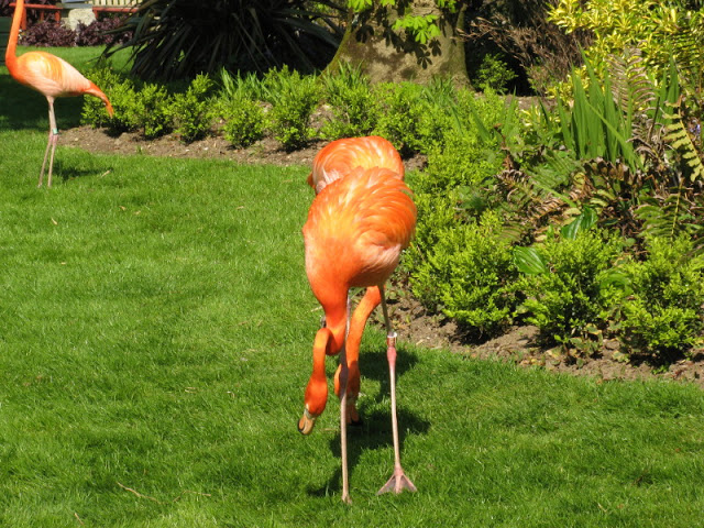 Paradise Park 20.04.2009