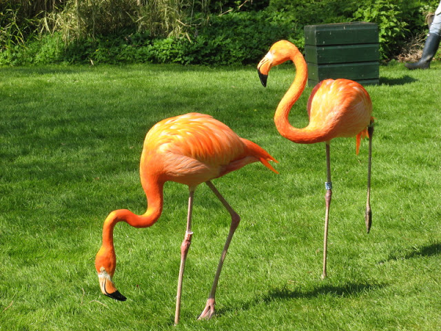 Paradise Park 20.04.2009