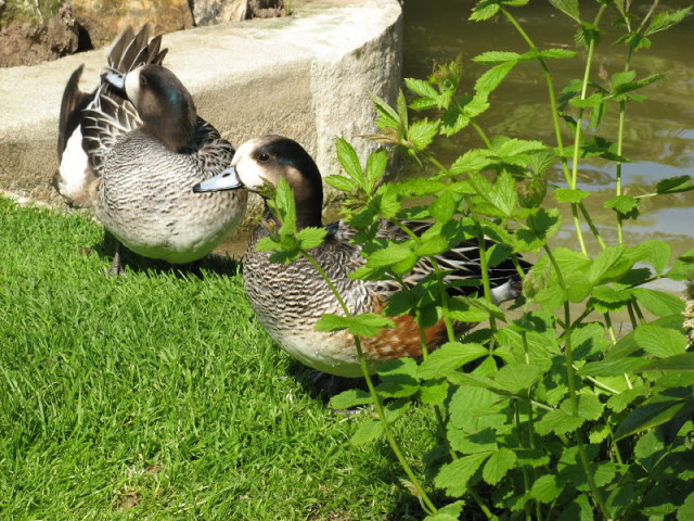 Paradise Park 20.04.2009