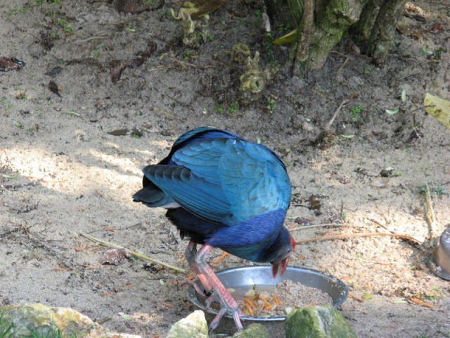 Paradise Park 20.04.2009