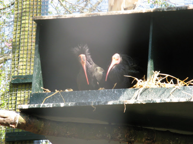 Paradise Park 20.04.2009