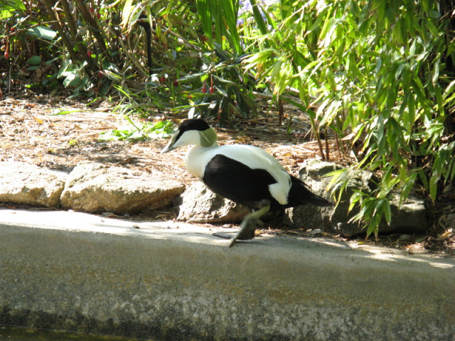 Paradise Park 20.04.2009