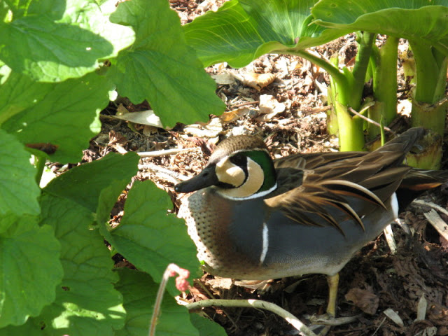 Paradise Park 20.04.2009