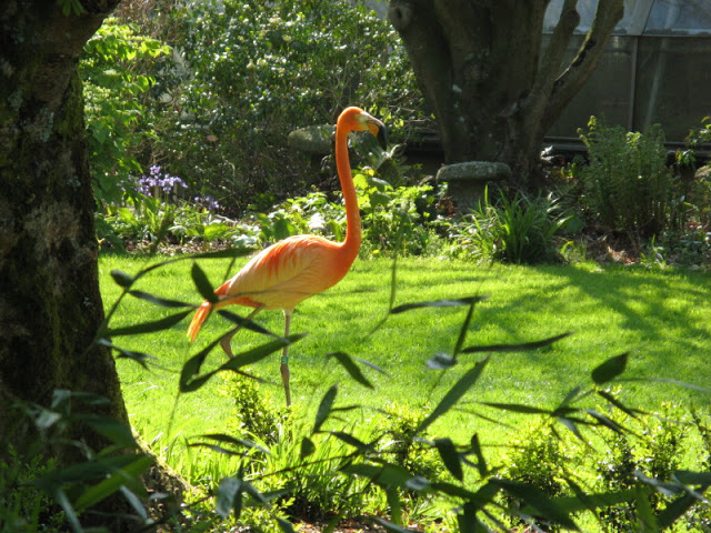 Paradise Park 20.04.2009