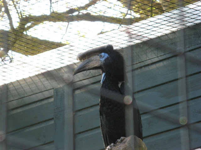 Paradise Park 20.04.2009