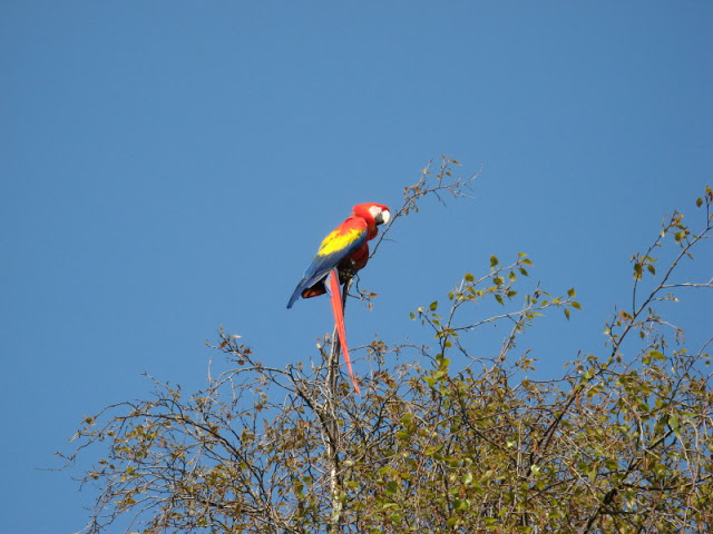 Paradise Park 20.04.2009