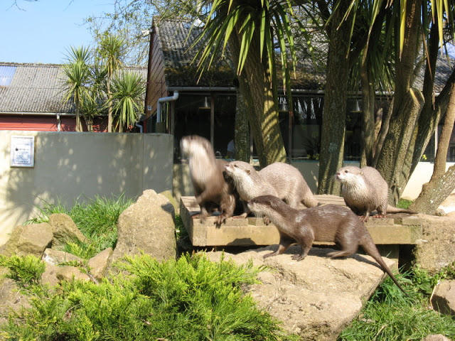 Paradise Park 20.04.2009