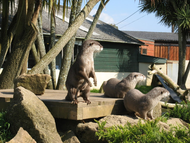 Paradise Park 20.04.2009